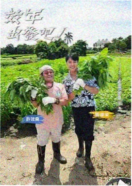 四行笔记轻量原则配图